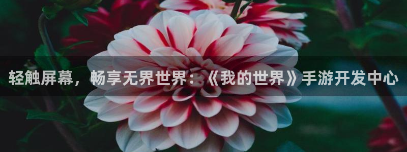 V8娱乐平台