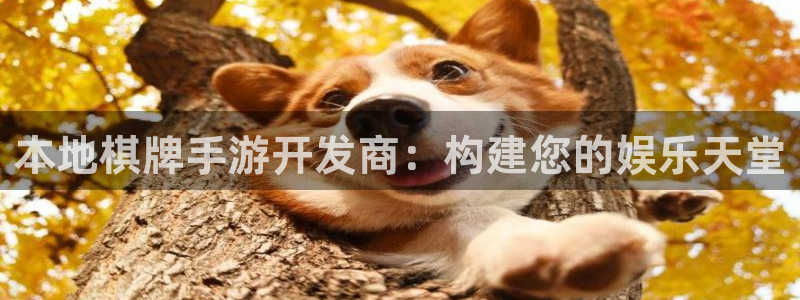 V8娱乐平台：本地棋牌手游开发商：构建您的娱乐天堂