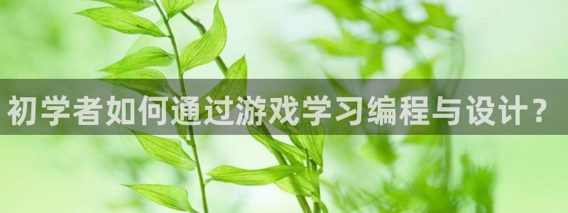 V8娱乐：初学者如何通过游戏学习编程与设计？