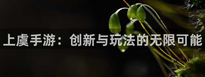 V8娱乐：上虞手游：创新与玩法的无限可能