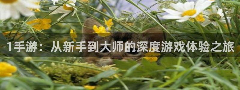 V8娱乐官网：1手游：从新手到大师的深度游戏体验之旅