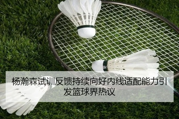 杨瀚森试训反馈持续向好内线适配能力引发篮球界热议